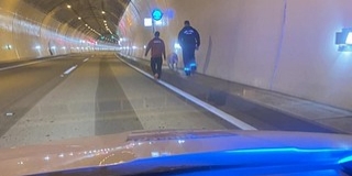 Egy utánfutóról leesett sertés miatt kellett lezárni az M6-os sztráda egyik alagútját Egy utánfutóról leesett sertés miatt kellett lezárni az M6-os sztráda egyik alagútját