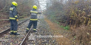 Utakra, sínekre, épületekre és parkoló autókra is dőltek fák a szerdai viharban Baranyában Utakra, sínekre, épületekre és parkoló autókra is dőltek fák a szerdai viharban Baranyában