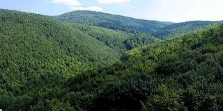 Még szerdán is tavasziasan enyhe marad az idő