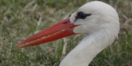Hurrá, húsz foknál is melegebb lehet pénteken napközben! Hurrá, húsz foknál is melegebb lehet pénteken napközben!