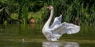 A hét várhatóan legmelegebb napja vár ránk szerdán A hét várhatóan legmelegebb napja vár ránk szerdán