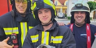 Szorult helyzetbe került fecskét menekítettek meg a mohácsi tűzoltók a magasból