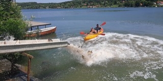 Két baranyai tóba is fogható méretű pontyokat telepítettek
