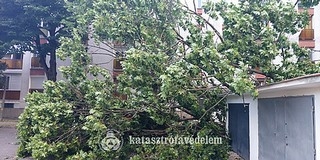 Komoly károkat okozott a hétvégi vihar Baranyában - Fákat, tűzfalat döntött a szél