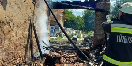 Kölyökkutyákat mentettek ki a tűzből a baranyai lánglovagok