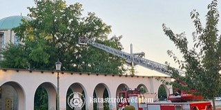 Hatalmas, letört faágat távolítottak el a tűzoltók Mohácson