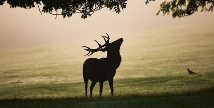 Szinte hihetetlen, huszonhárom fok is lehet csütörtökön!