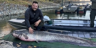 Ez aztán hatalmas: kapitális méretű harcsát fogott egy horgász Mohácsnál