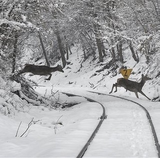 Hahó, jöhet a hó: Baranyában is kifehéredhet péntek estétől kezdődően a táj