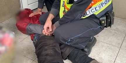 Hatalmas fogásuk volt a mohácsi zsaruknak, Borjádon égig ért a fű - Videó!