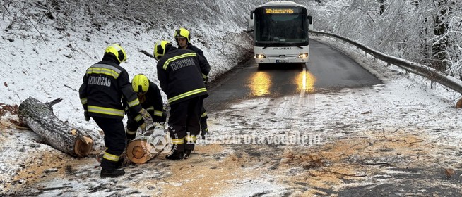 Kidőlt fák, leszakadt ágak: rengetegszer riasztották hétvégén a tűzoltókat
