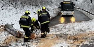 Kidőlt fák, leszakadt ágak: rengetegszer riasztották hétvégén a tűzoltókat