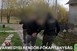 Egy évig volt szökésben egy baranyai férfi, elfogták a kommandósok - Videó!