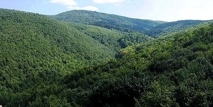 Tíz foknál is melegebb lehet vasárnap napközben! Tíz foknál is melegebb lehet vasárnap napközben!