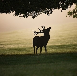 Elő az esernyőkkel! Borult, csapadékos, ködös napok várnak ránk a héten
