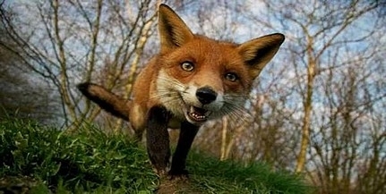 Egy kis napsütésre és tíz fokra is számíthatunk kedden Egy kis napsütésre és tíz fokra is számíthatunk kedden