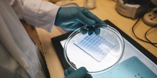 Jelentős gyógyszerfejlesztési program zárult a Pécsi Tudományegyetemen