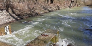 Életmentő volt a dunai árhullám az élővilág számára