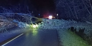 Teljes útzár volt Baranyában egy kidőlt fa miatt