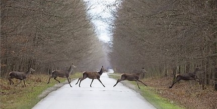 Szomorúan indul a hét, úgy is folytatódik, aztán megérkezik a remélt fordulat Szomorúan indul a hét, úgy is folytatódik, aztán megérkezik a remélt fordulat