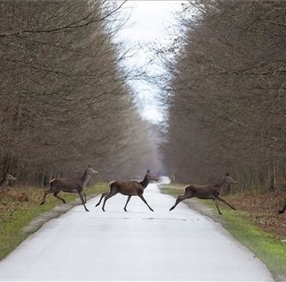 Szomorúan indul a hét, úgy is folytatódik, aztán megérkezik a remélt fordulat