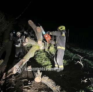 Megtépázta Baranyát a szél, sorra dőltek a fák, rengetgszer riasztották a tűzoltókat