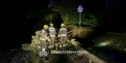 Kidőlt fák, leszakadt ágak: rengetegszer riasztották hétvégén a tűzoltókat Kidőlt fák, leszakadt ágak: rengetegszer riasztották hétvégén a tűzoltókat