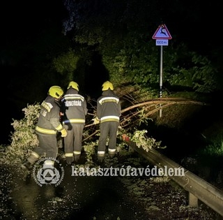 Kidőlt fák, leszakadt ágak: rengetegszer riasztották hétvégén a tűzoltókat