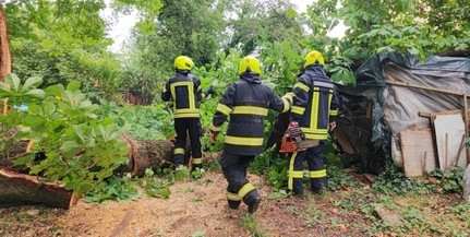 Alaposan megtépázta a csütörtöki vihar Baranyát Alaposan megtépázta a csütörtöki vihar Baranyát