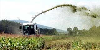 GMO: 360 ezer forintot kapnak hektáronként a károsult gazdák