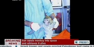 Irán sikeresen az űrbe küldött egy majmot Irán sikeresen az űrbe küldött egy majmot