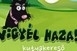 Már több mint ötezren töltötték le a kutyakereső alkalmazást
