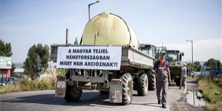 Továbbra is ellenőrzi a hatóság a gyanúsan olcsó import tejet