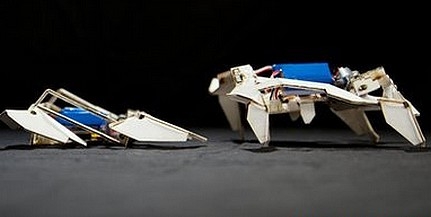 Saját magát rakja össze az origami által ihletett robot