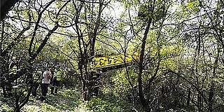 Fák tetején landolt egy kisrepülő Pátyon