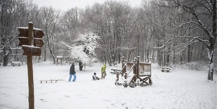 Nem okozott komolyabb fennakadásokat a télies időjárás