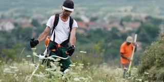 A közmunkás nem álláskereső, pontosítást kér az ombudsman