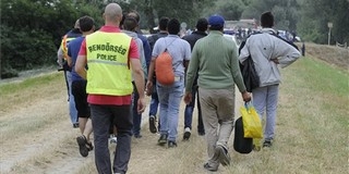 Baranyát is elérheti a fal: a horvát-magyar határon is épülhet biztonsági kerítés