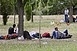 Szijjártó szerint néhány hónap alatt megépül a kerítés