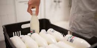 Önköltségi ár alatt adják el a tejet a magyar termelők