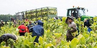 Lázár szerint hazánk agrárország maradt és ez előny