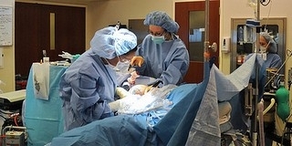 Idén elvégezhetik az első hazai tüdőátültetést