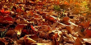 A jövő héten még tovább enyhül az idő