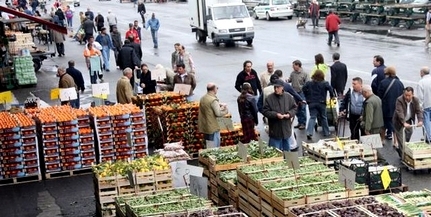 Az állatokra is veszélyes lehet a silány élelmiszer