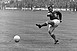 Stadiont neveznek el Puskás Öcsiről Olaszországban is