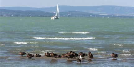 Nagyon tiszta a Balaton vize, drasztikusan csökkent a vízben lebegő algák mennyisége