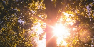 Hidegfrontba torkollik a meleg hétvégi időjárás