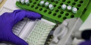 Új immunterápia segítheti a fej- és nyakrákosok kezelését Új immunterápia segítheti a fej- és nyakrákosok kezelését