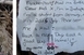 Palackpostát fogtak ki a Dunából, több mint egy évet utazott