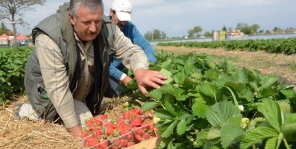 Még 10 napjuk van az őstermelőknek az érvényesítésre